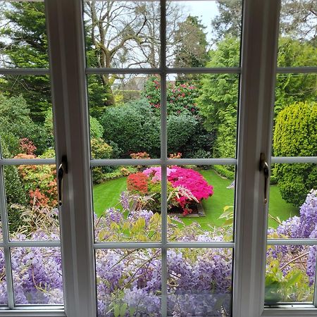 Little Robin Gate - Free Parking - Central - 10 Min Walk To Train Station Bournemouth Eksteriør billede